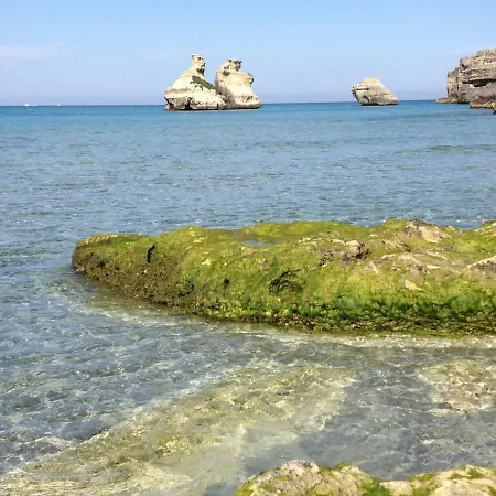 Alibi * Torre dell'Orso